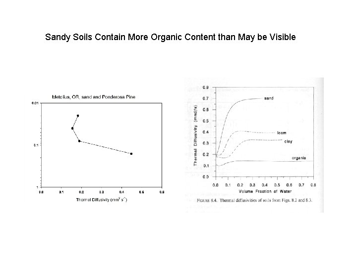 Sandy Soils Contain More Organic Content than May be Visible 