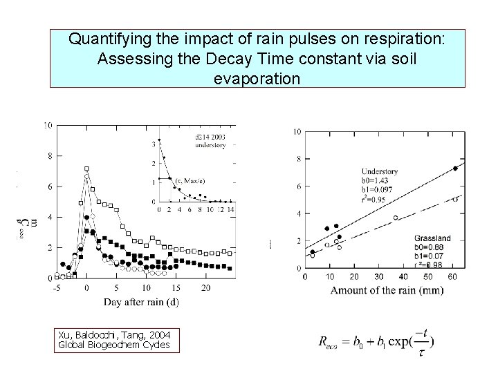 Quantifying the impact of rain pulses on respiration: Assessing the Decay Time constant via