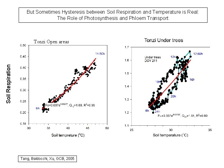 But Sometimes Hysteresis between Soil Respiration and Temperature is Real: The Role of Photosynthesis
