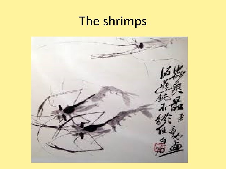 The shrimps 
