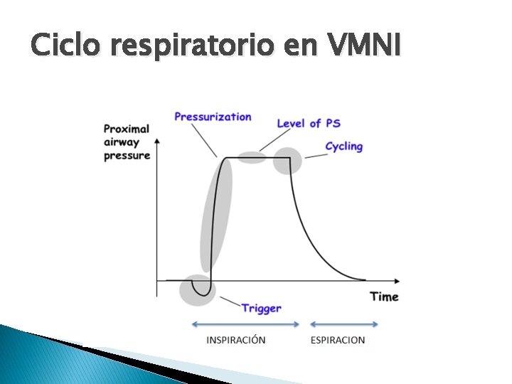 Ciclo respiratorio en VMNI 