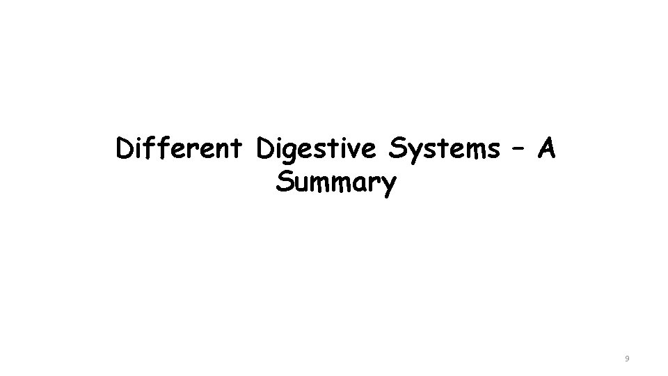 Different Digestive Systems – A Summary 9 