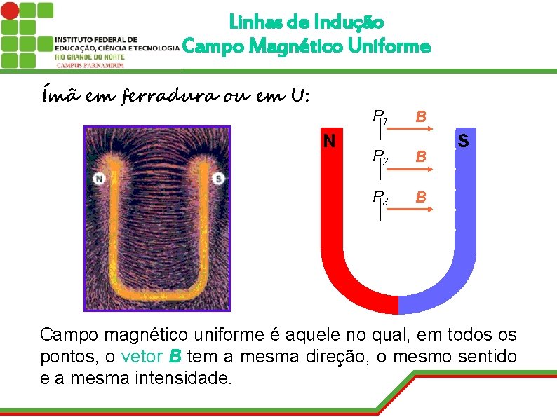 Linhas de Indução Campo Magnético Uniforme Ímã em ferradura ou em U: P 1