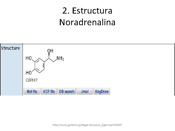 2. Estructura Noradrenalina http: //www. genome. jp/dbget-bin/www_bget? cpd: C 00547 