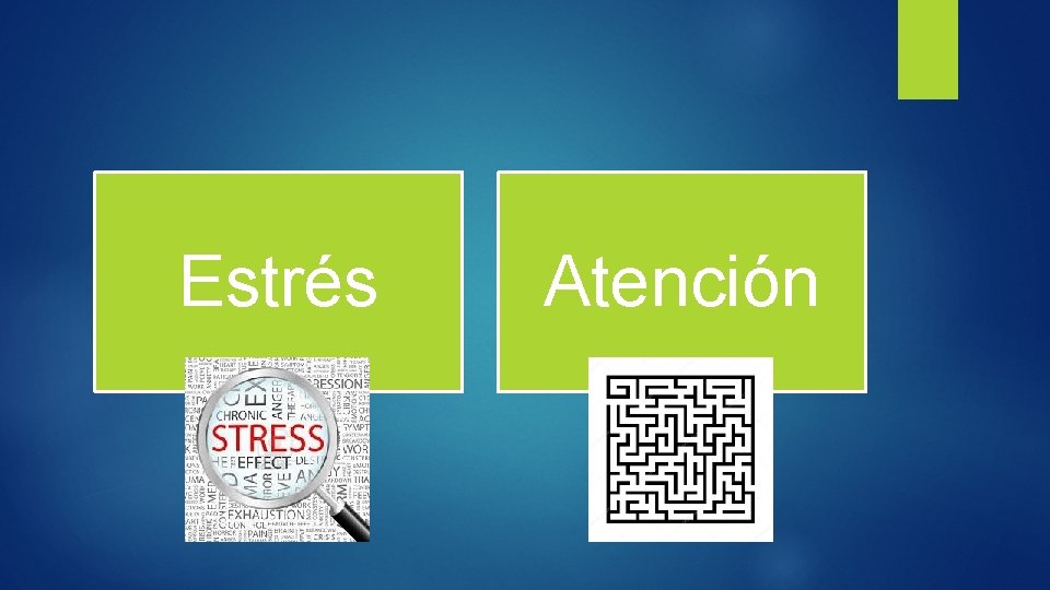 Estrés Atención 