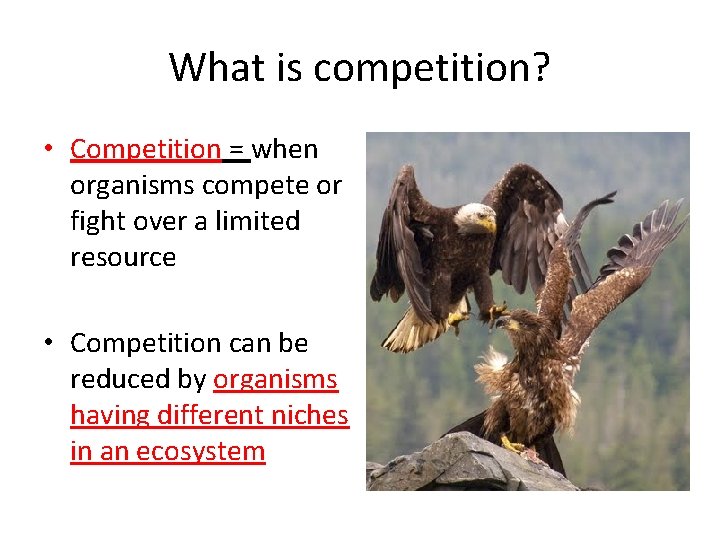 What is competition? • Competition = when organisms compete or fight over a limited