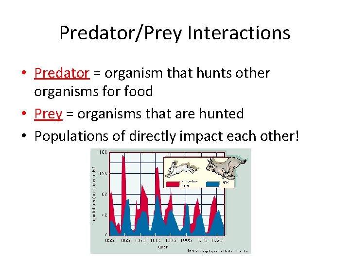 Predator/Prey Interactions • Predator = organism that hunts other organisms for food • Prey