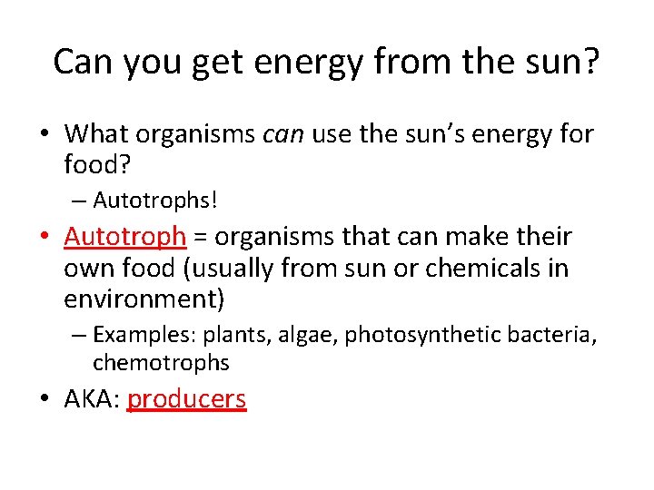 Can you get energy from the sun? • What organisms can use the sun’s