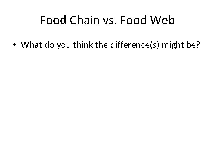 Food Chain vs. Food Web • What do you think the difference(s) might be?