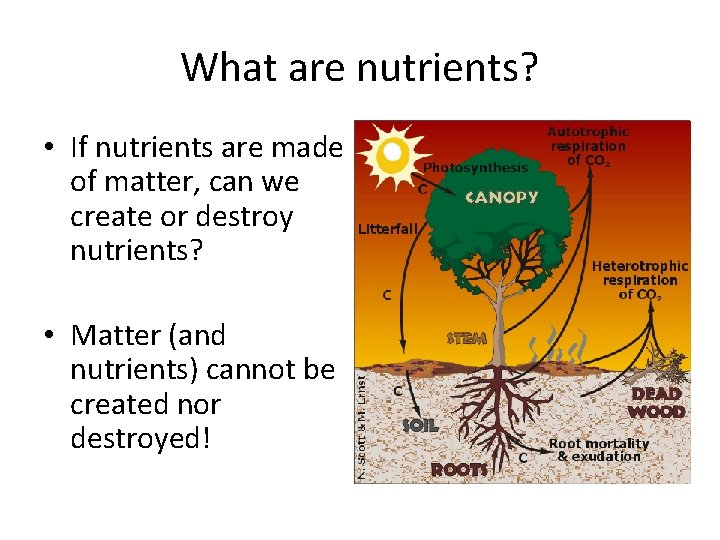 What are nutrients? • If nutrients are made of matter, can we create or