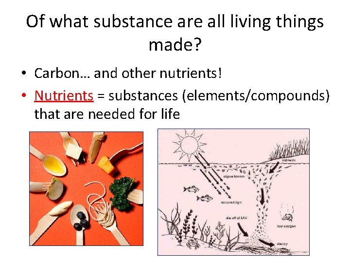 Of what substance are all living things made? • Carbon… and other nutrients! •