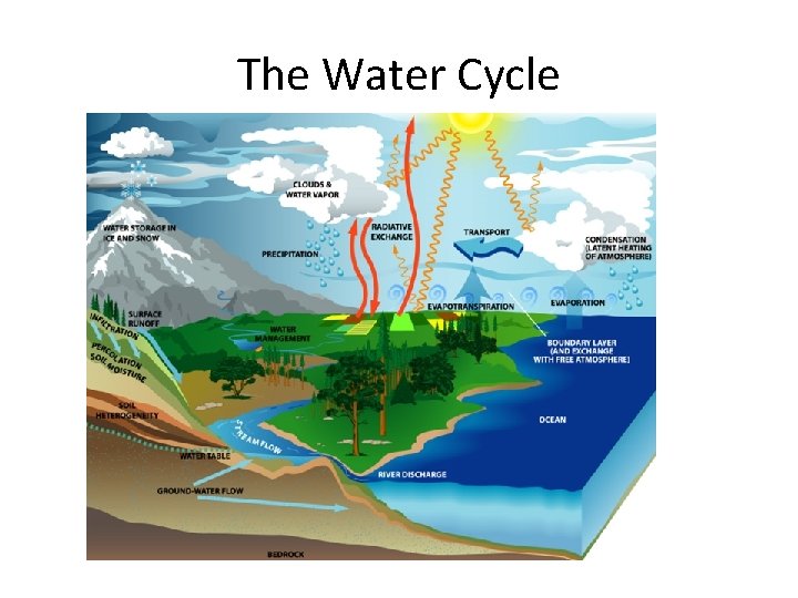 The Water Cycle 