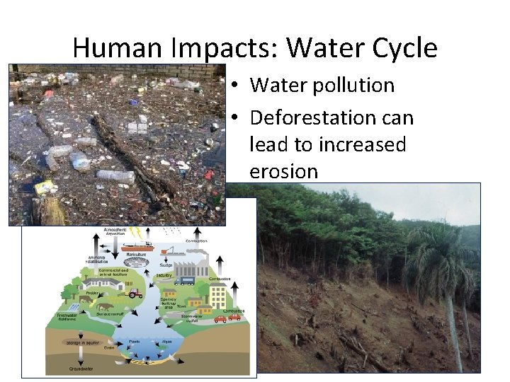 Human Impacts: Water Cycle • Water pollution • Deforestation can lead to increased erosion