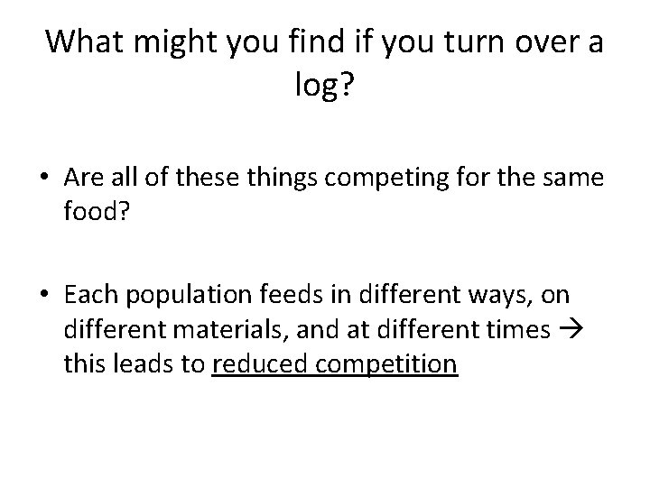 What might you find if you turn over a log? • Are all of