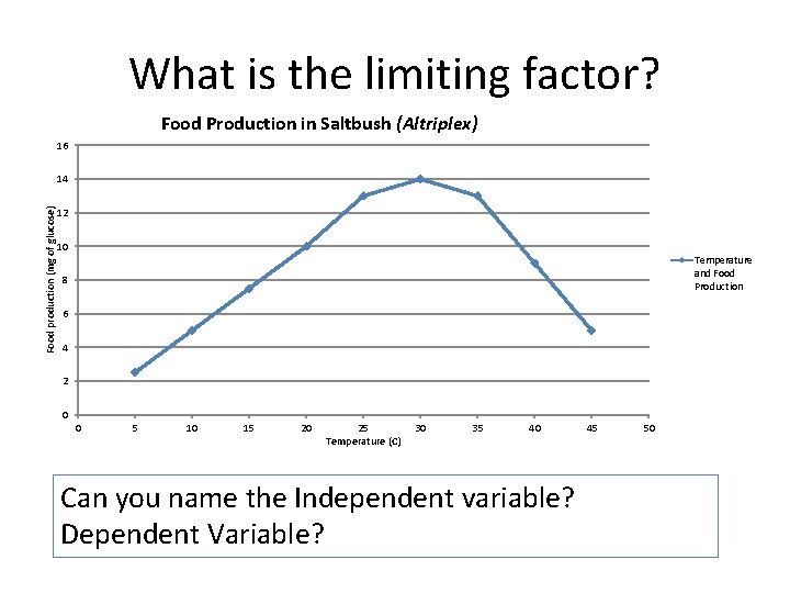 What is the limiting factor? Food Production in Saltbush (Altriplex) 16 Food production (mg