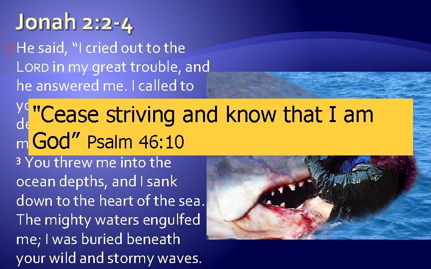 Jonah 2: 2 -4 � He said, “I cried out to the LORD in