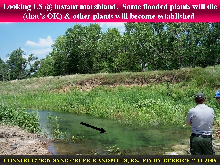 Looking US @ instant marshland. Some flooded plants will die (that’s OK) & other