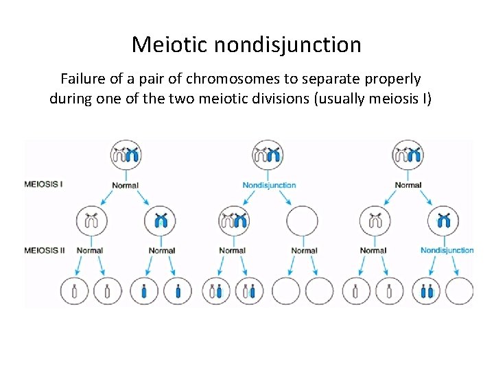 Meiotic nondisjunction Failure of a pair of chromosomes to separate properly during one of