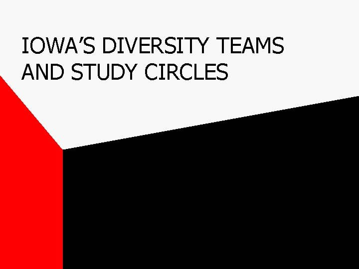 IOWA’S DIVERSITY TEAMS AND STUDY CIRCLES 