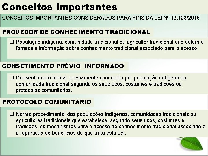 Conceitos Importantes CONCEITOS IMPORTANTES CONSIDERADOS PARA FINS DA LEI Nº 13. 123/2015 PROVEDOR DE
