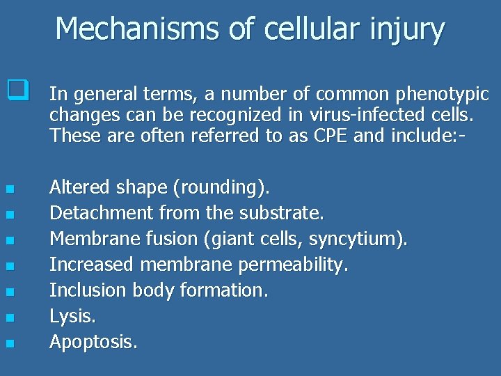 Mechanisms of cellular injury q n n n n In general terms, a number