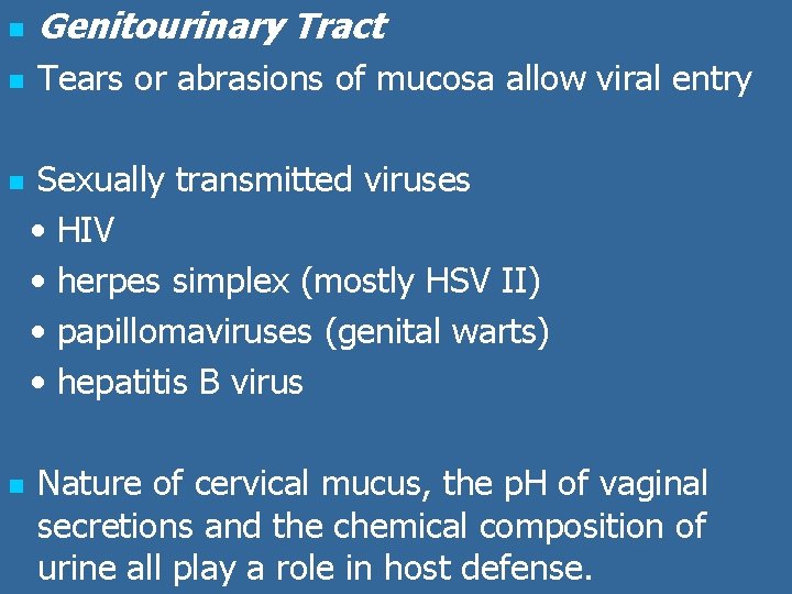 n Genitourinary Tract n Tears or abrasions of mucosa allow viral entry n n