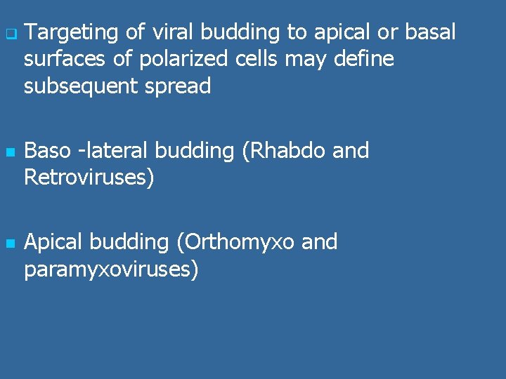 q n n Targeting of viral budding to apical or basal surfaces of polarized