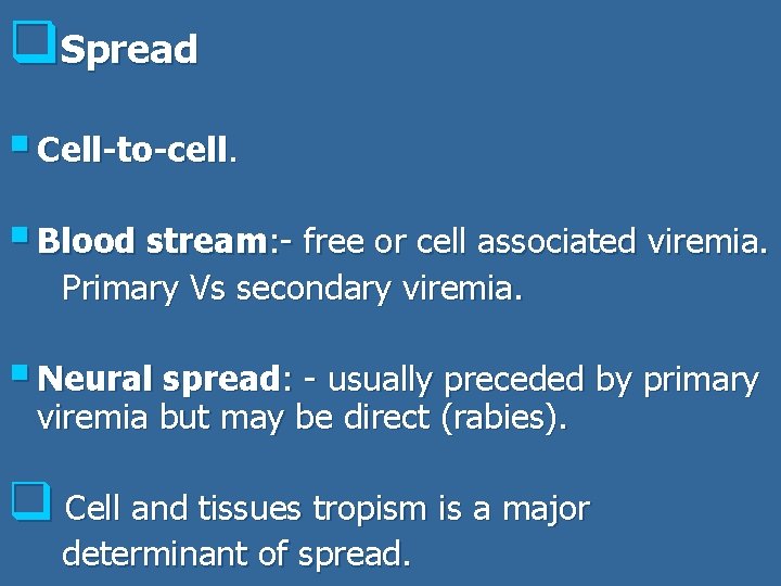 q. Spread § Cell-to-cell. § Blood stream: - free or cell associated viremia. Primary