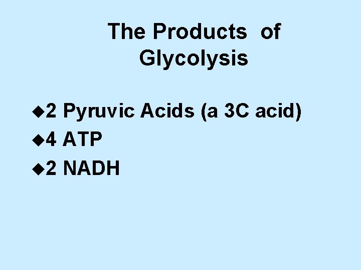 The Products of Glycolysis u 2 Pyruvic Acids (a 3 C acid) u 4