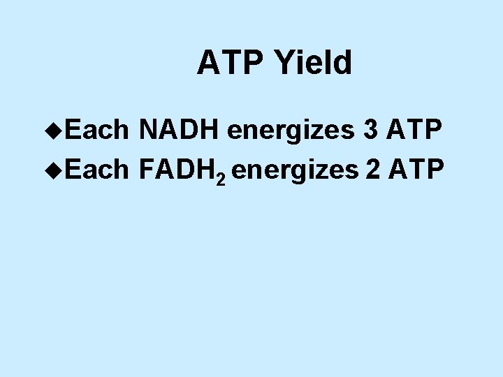 ATP Yield u. Each NADH energizes 3 ATP u. Each FADH 2 energizes 2