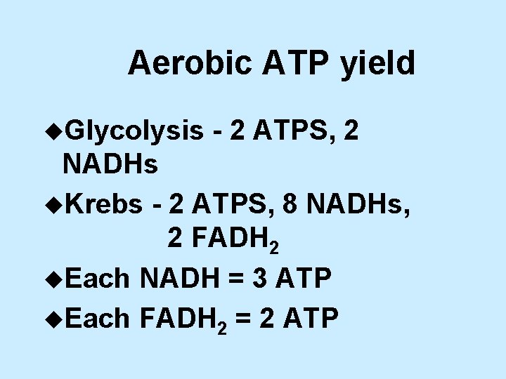 Aerobic ATP yield u. Glycolysis - 2 ATPS, 2 NADHs u. Krebs - 2