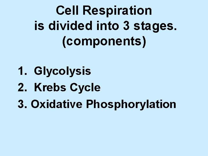 Cell Respiration is divided into 3 stages. (components) 1. Glycolysis 2. Krebs Cycle 3.