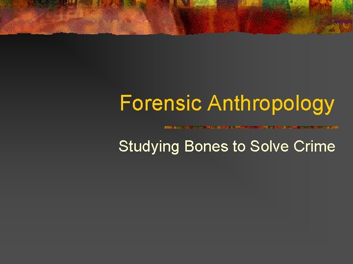 Forensic Anthropology Studying Bones to Solve Crime 