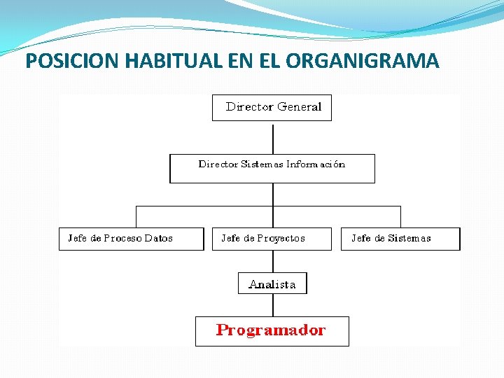 POSICION HABITUAL EN EL ORGANIGRAMA 