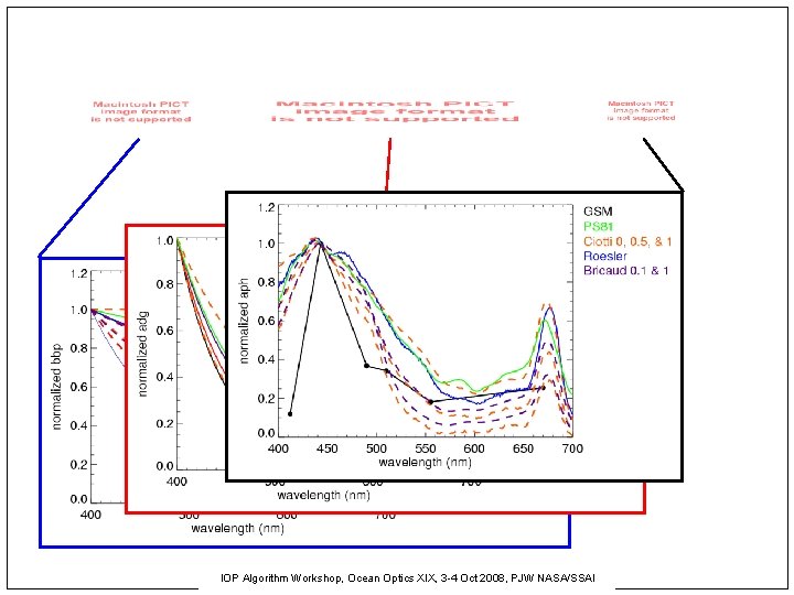 IOP Algorithm Workshop, Ocean Optics XIX, 3 -4 Oct 2008, PJW NASA/SSAI 