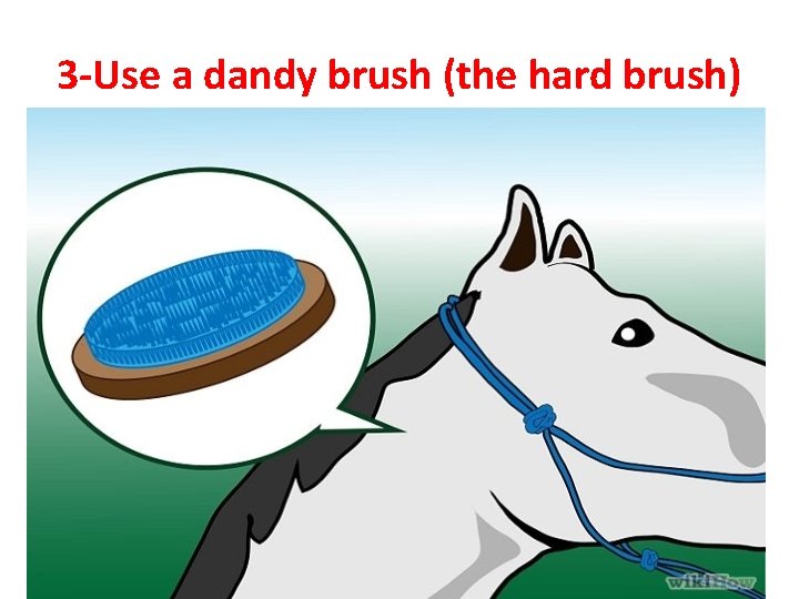3 -Use a dandy brush (the hard brush) 