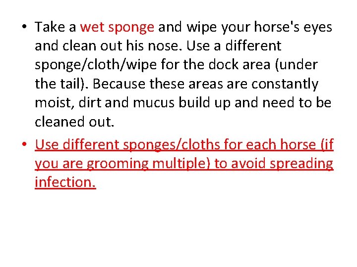  • Take a wet sponge and wipe your horse's eyes and clean out