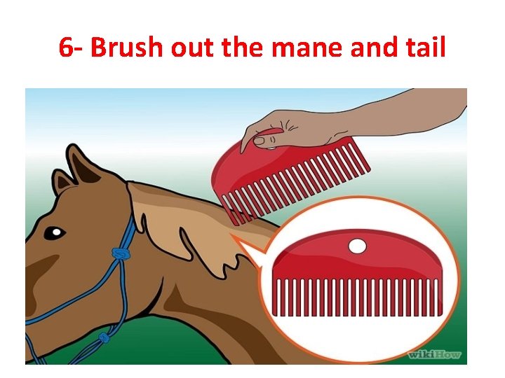 6 - Brush out the mane and tail 
