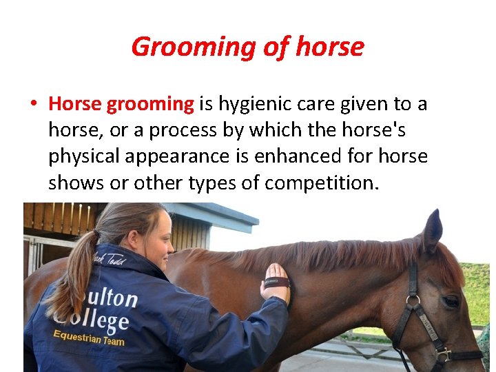 Grooming of horse • Horse grooming is hygienic care given to a horse, or