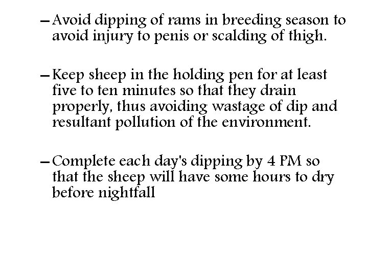 – Avoid dipping of rams in breeding season to avoid injury to penis or