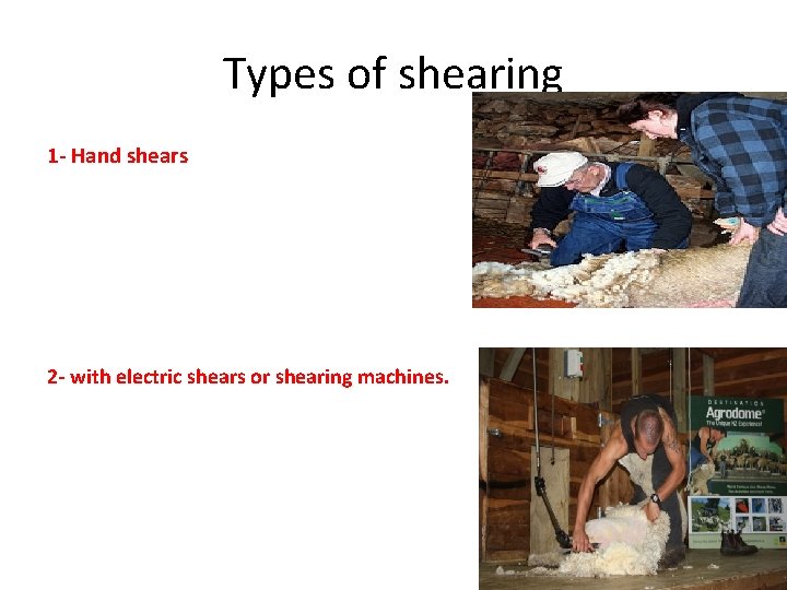 Types of shearing 1 - Hand shears 2 - with electric shears or shearing