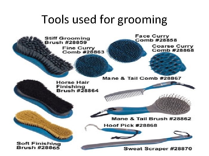 Tools used for grooming 