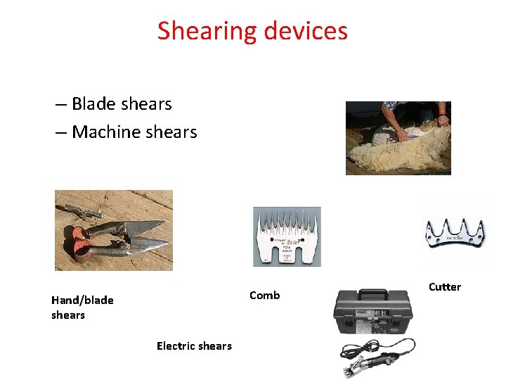 Shearing devices – Blade shears – Machine shears Comb Hand/blade shears Electric shears Cutter