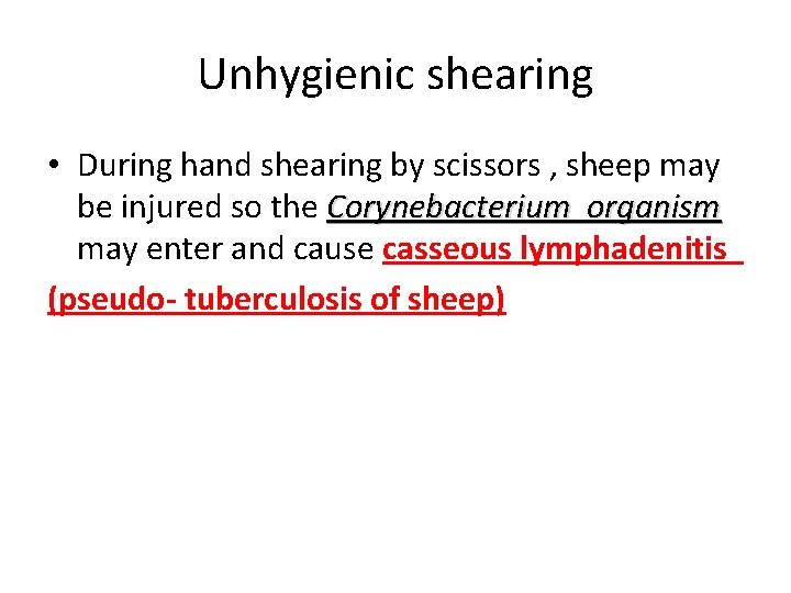 Unhygienic shearing • During hand shearing by scissors , sheep may be injured so
