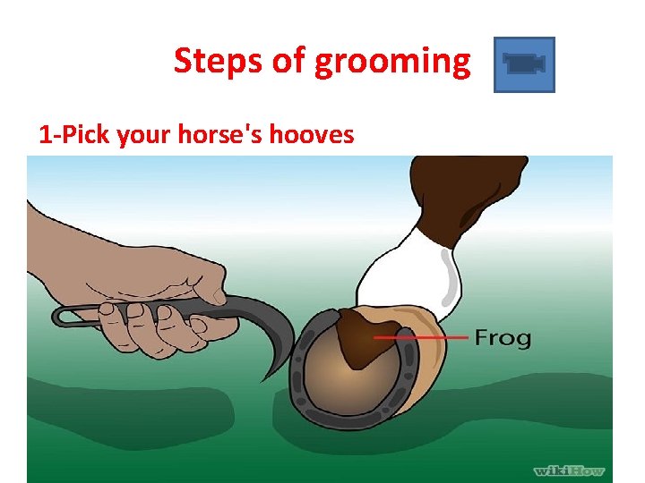 Steps of grooming 1 -Pick your horse's hooves 