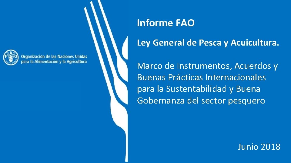 Informe FAO Ley General de Pesca y Acuicultura. Marco de Instrumentos, Acuerdos y Buenas