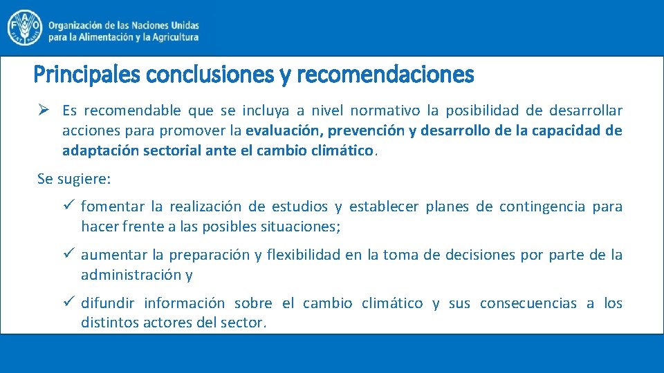 Principales conclusiones y recomendaciones Ø Es recomendable que se incluya a nivel normativo la