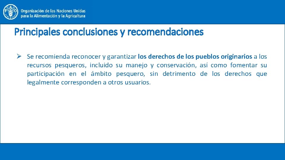 Principales conclusiones y recomendaciones Ø Se recomienda reconocer y garantizar los derechos de los
