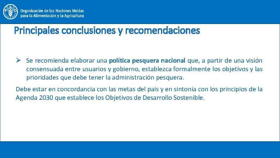 Principales conclusiones y recomendaciones Ø Se recomienda elaborar una política pesquera nacional que, a