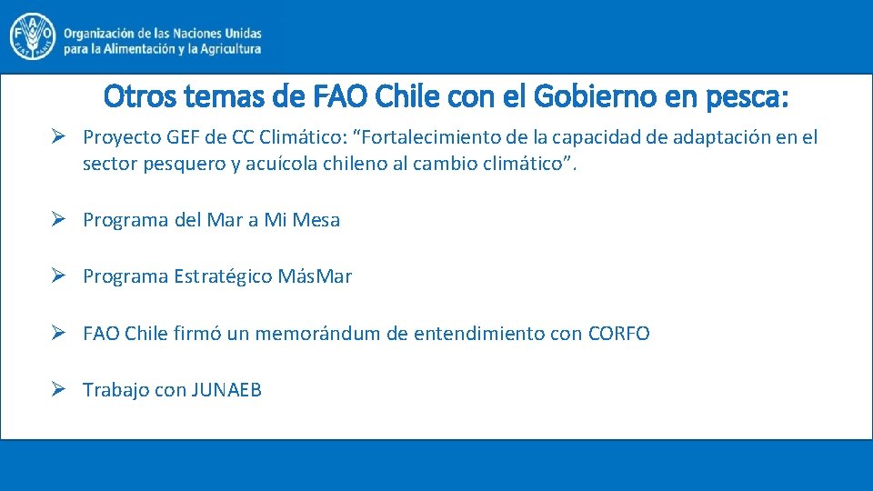 Otros temas de FAO Chile con el Gobierno en pesca: Ø Proyecto GEF de